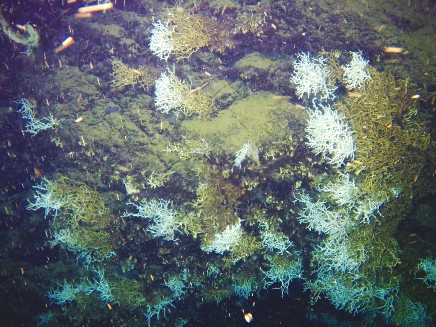 Workforce and job preparation